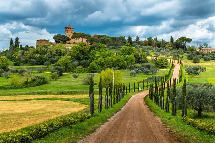 Pisa, Siena, San Gimignano with Lunch & Winery Experience