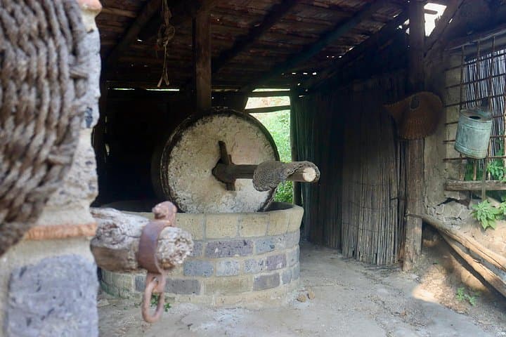 Sorrento: Farm Tour with Tasting and Picking