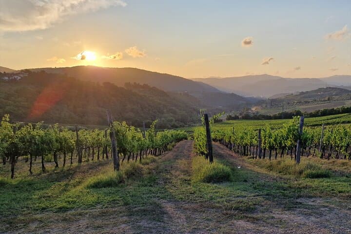 Private Wine Tour in Tuscany Florence Limo Service English driver