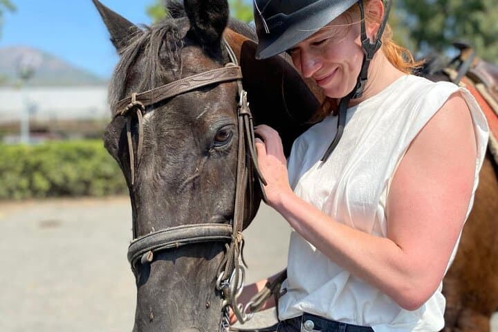 Pompeii Guided Tour & Horse Riding on Vesuvius with Lunch