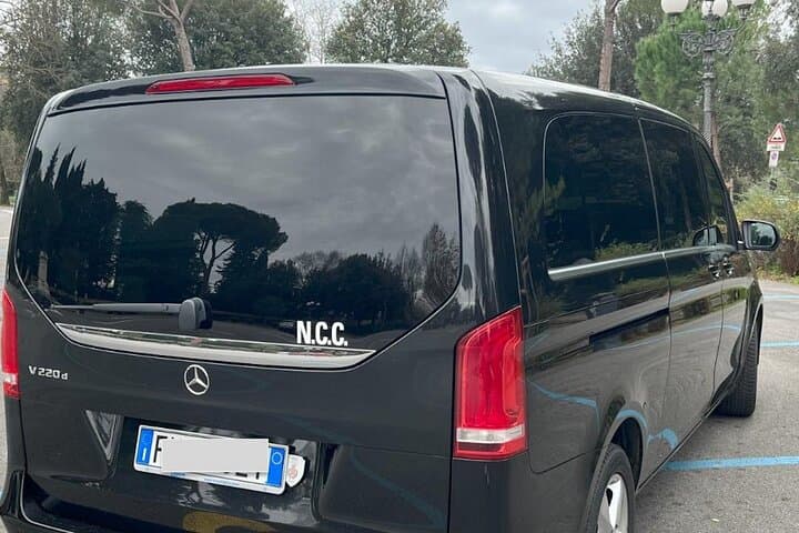 The Mercedes V-Class