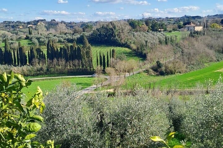 The countryside of Terricciola