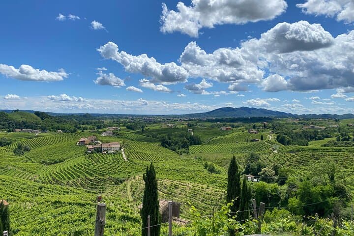 Tour in the Prosecco Hills Tour from Padua