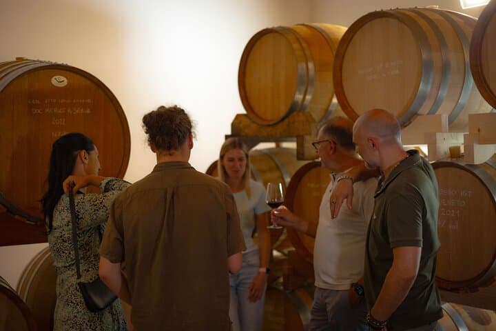 From Venice: Olive Oil & Wine Tour in the Venetian Hills