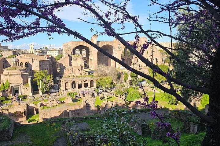 Private Tour of the Colosseum Arena, Roman Forum, Palatine Hill