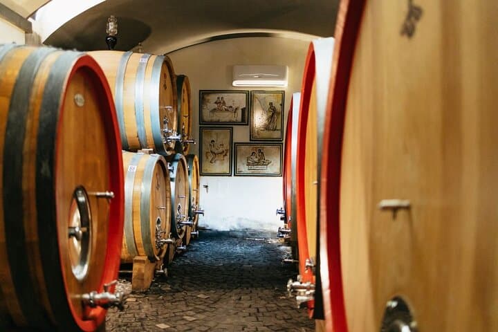 Vesuvius Wine Tasting & Lunch: Vineyard Tour from Naples