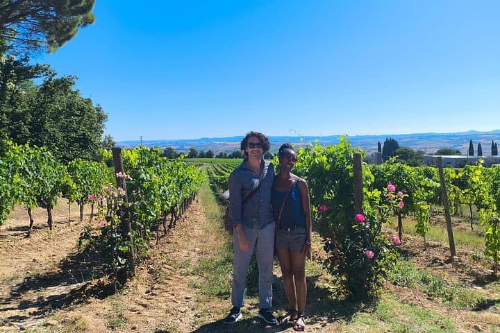 Brunello di Montalcino Wine Tour with 2 Wineries & Lunch at Farm