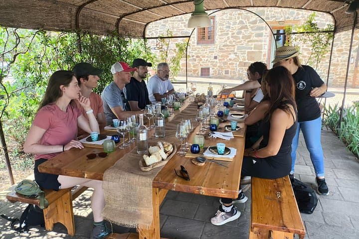 Brunello di Montalcino Wine Tour with 2 Wineries & Lunch at Farm