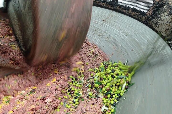Umbria: Guided tour to Traditional Olive Oil Mill and Tasting