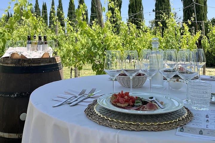Lunch in a Tuscan vineyard with wine tasting
