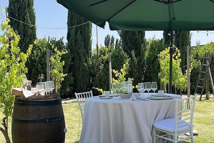 Lunch in a Tuscan vineyard with wine tasting