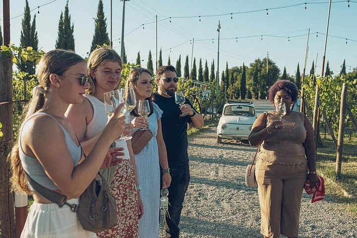Lunch in a Tuscan vineyard with wine tasting