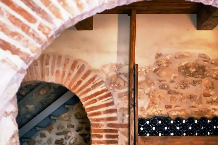 Winery Tour and Tasting 4 wines at Cantina Le Macchie near Rome