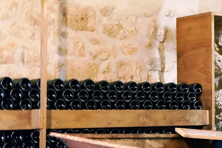 Winery Tour and Tasting 4 wines at Cantina Le Macchie near Rome