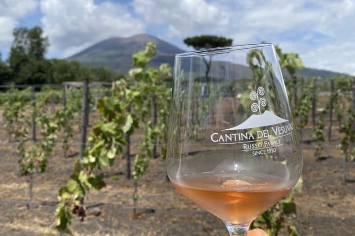 Pompeii Tour, Lunch and Vesuvius Wine Tasting