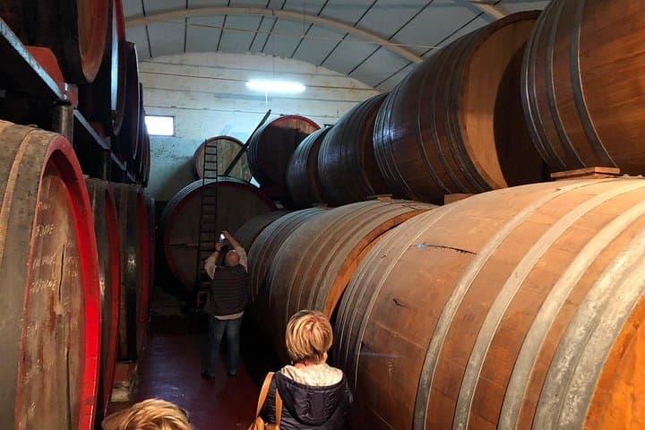 Historic winery visit with food and wine tasting in Marsala