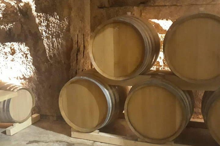 Historic winery visit with food and wine tasting in Marsala