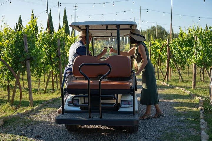Tuscan vineyard golf cart tour with wine tasting and lunch