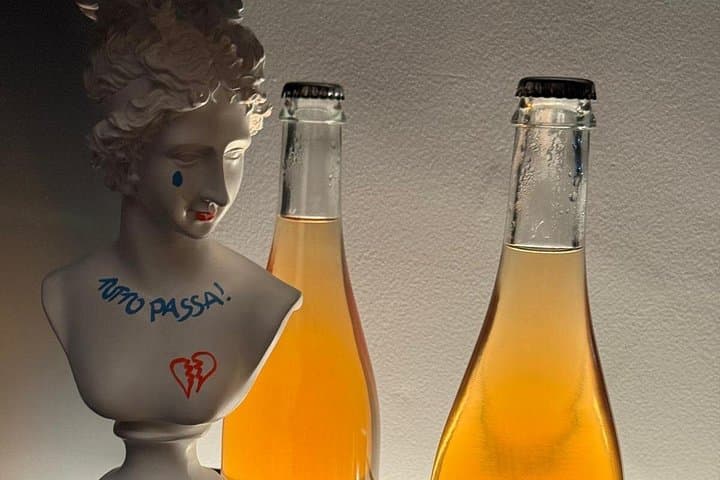 Palermo Rebel Wines Tasting-Local Bites in the City Center