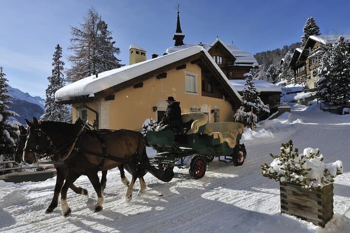 Private 1st Class Bernina Panoramic – St. Moritz & Swiss Alps