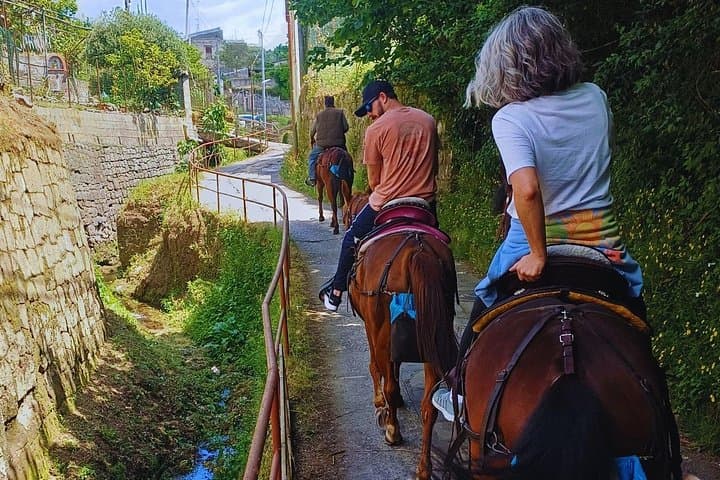 Ride along the Sorrento Coast and discover the hidden charm of Massa Lubrense