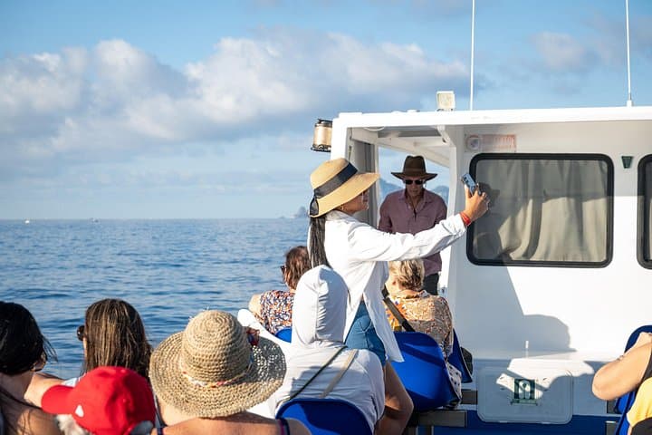 All Inclusive Capri and Anacapri with Blue Grotto Visit