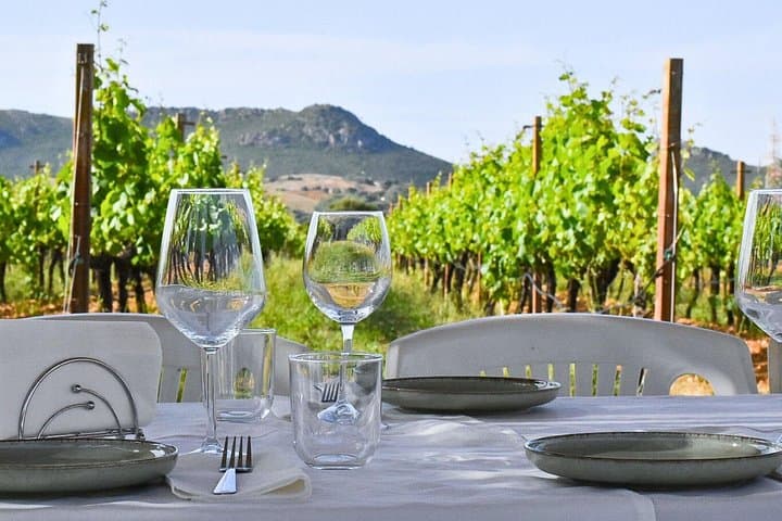 Alghero: lunch or dinner in the vineyard