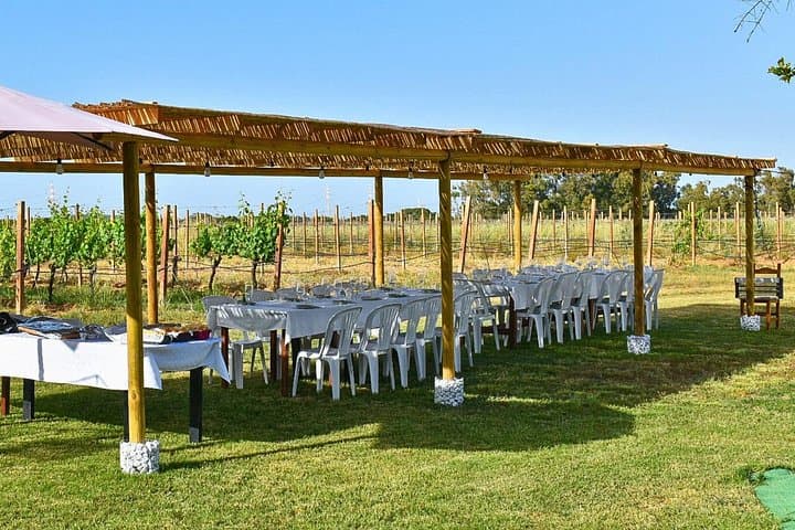 Alghero: lunch or dinner in the vineyard