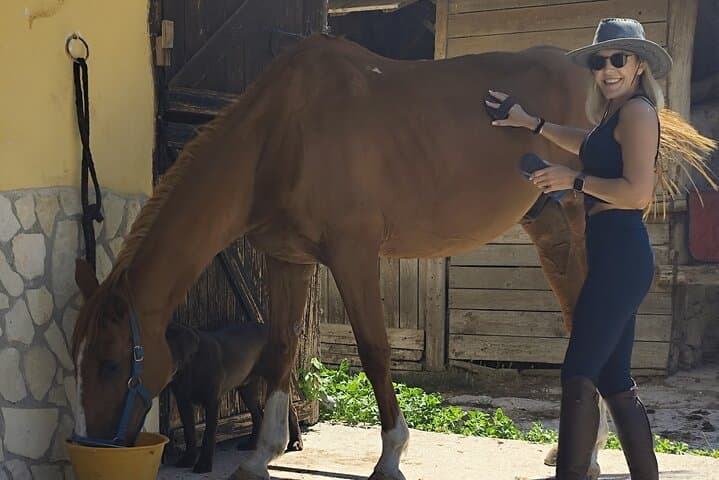 Horse Sanctuary & Trail Ride