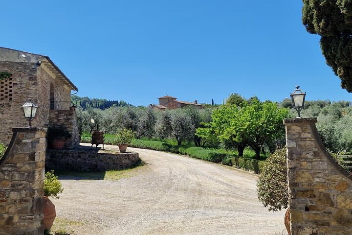 Private Wine Tour in Tuscany Florence Limo Service English driver
