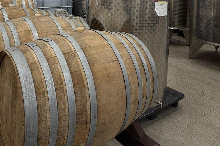 Catania: Etna Wine Tour and Culinary Experience