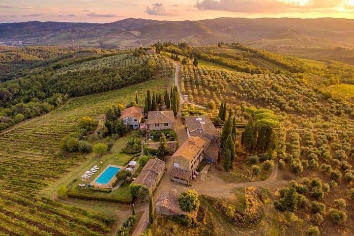 Private Half day Tour in Chianti, San Gimignano with wine tasting
