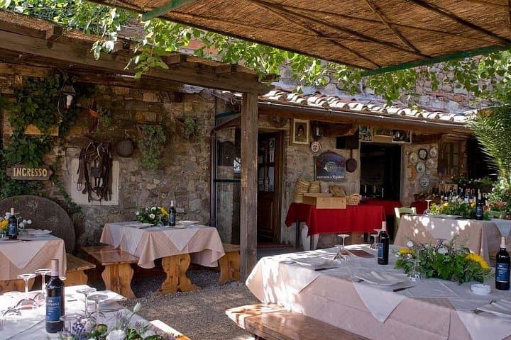 Private Half day Tour in Chianti, San Gimignano with wine tasting