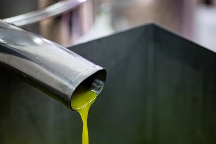 Umbria: Guided tour to Traditional Olive Oil Mill and Tasting