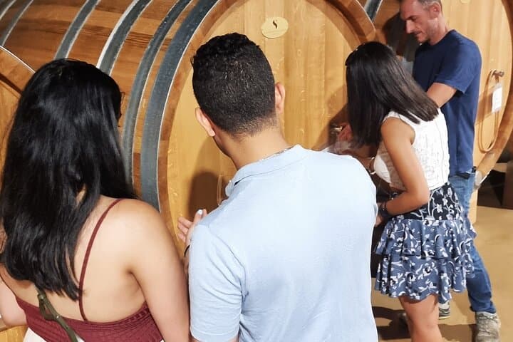 Barolo & Langhe Wine Tasting Tour from Turin