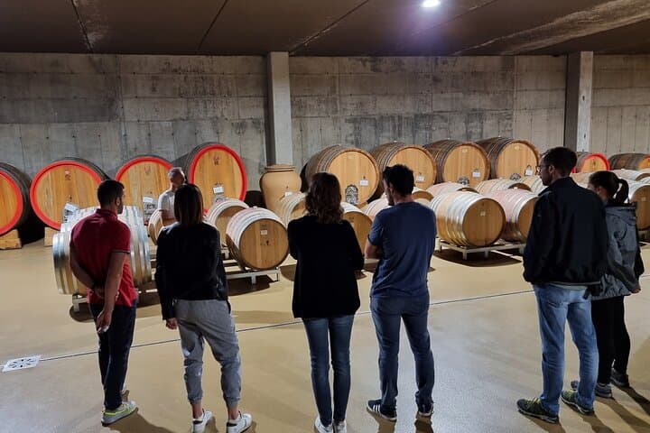 Barolo & Langhe Wine Tasting Tour from Turin