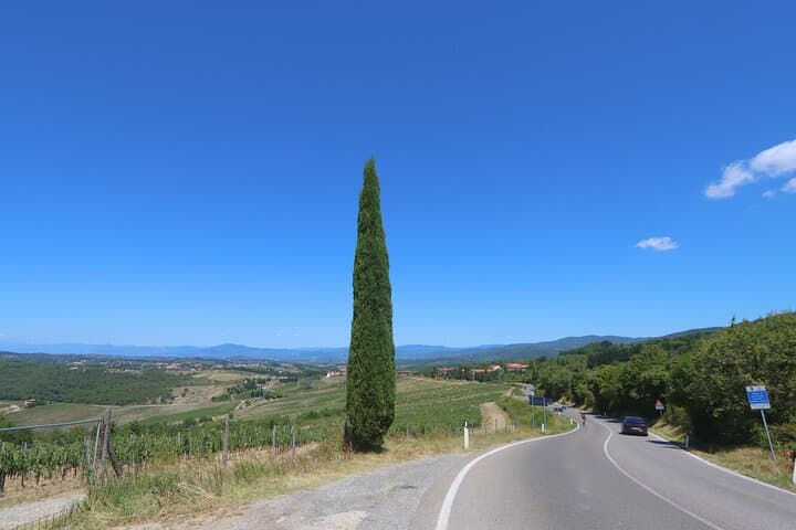 Florence Half Day Chianti Wine Tour with Tuscan Food Tastings