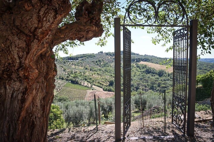 Florence Half Day Chianti Wine Tour with Tuscan Food Tastings