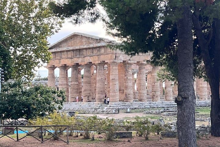 Paestum and its Greek Temples Private Day Tour from Rome