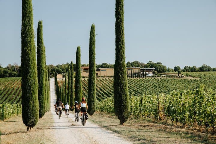Cortona - eBike tour and wine tasting in the Val di Chiana [+40€]
