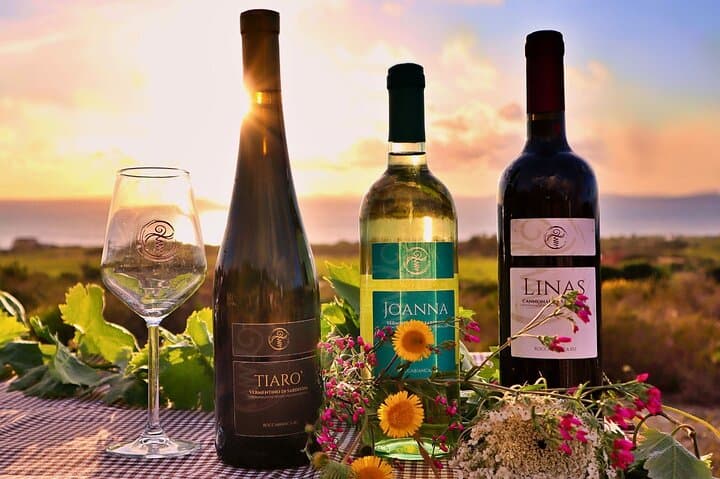 Castelsardo Vineyard and Wine Tasting Experience with Sunset