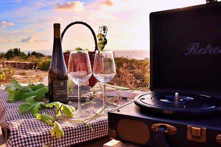 Castelsardo Vineyard and Wine Tasting Experience with Sunset