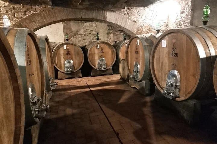 cellar
