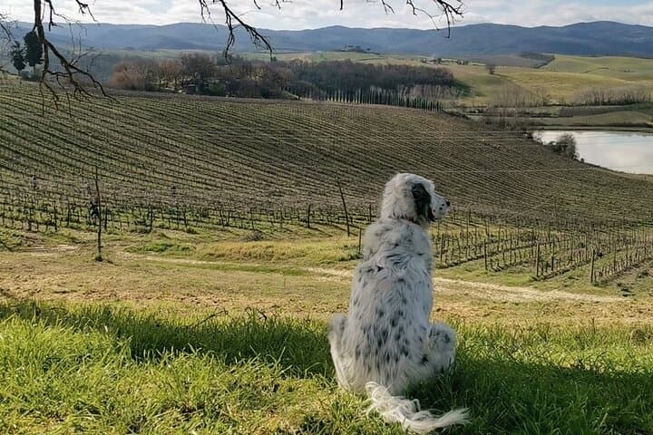winery