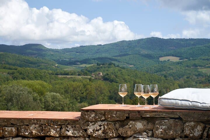 Chianti Wine Tour from Florence with 3 Wineries and Tuscan Lunch