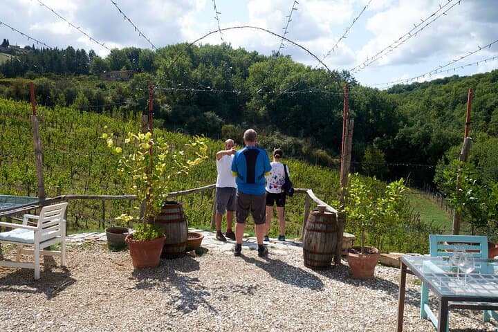 Chianti Wine Tour from Florence with 3 Wineries and Tuscan Lunch