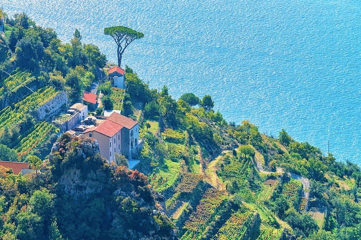 Small Group Path of the Gods Hike Tour from Sorrento