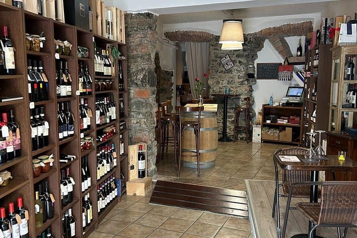 Wine Tasting with Food Pairing at Lake Como