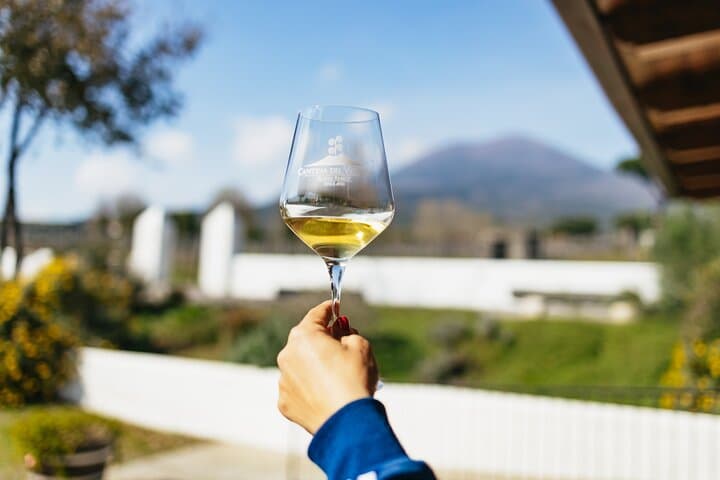Vesuvius Wine Tasting & Lunch: Vineyard Tour from Naples