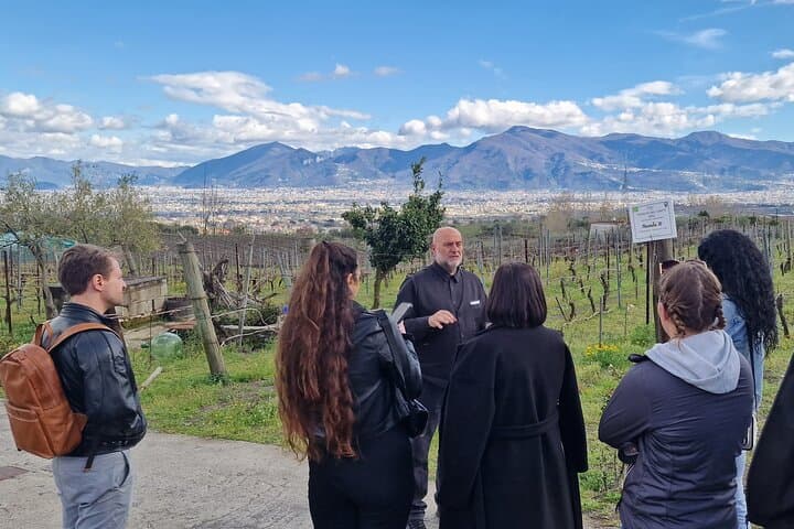 Vesuvius Wine Tasting & Lunch: Vineyard Tour from Naples